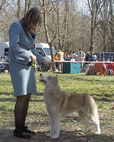 handling (28).jpg